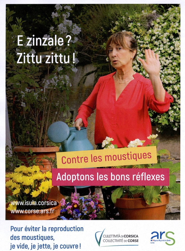 affiche moustique